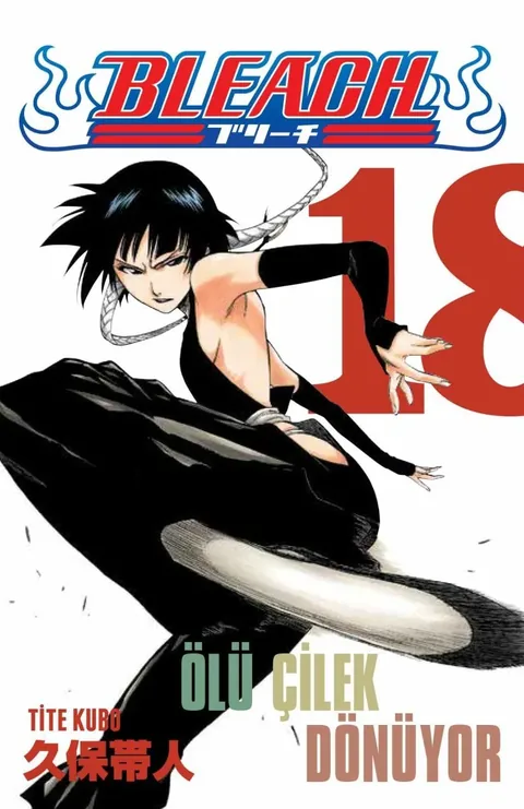 Bleach Cilt 18