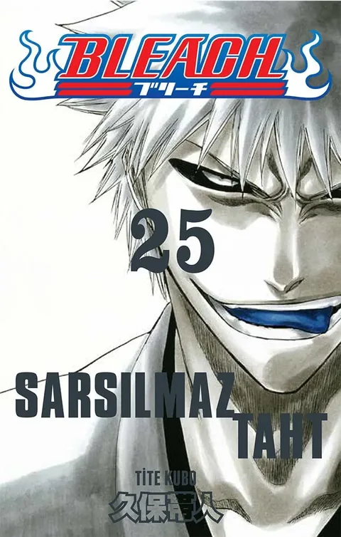 Bleach Cilt 25