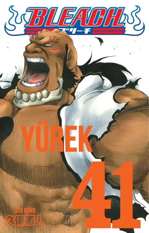 Bleach Cilt 41